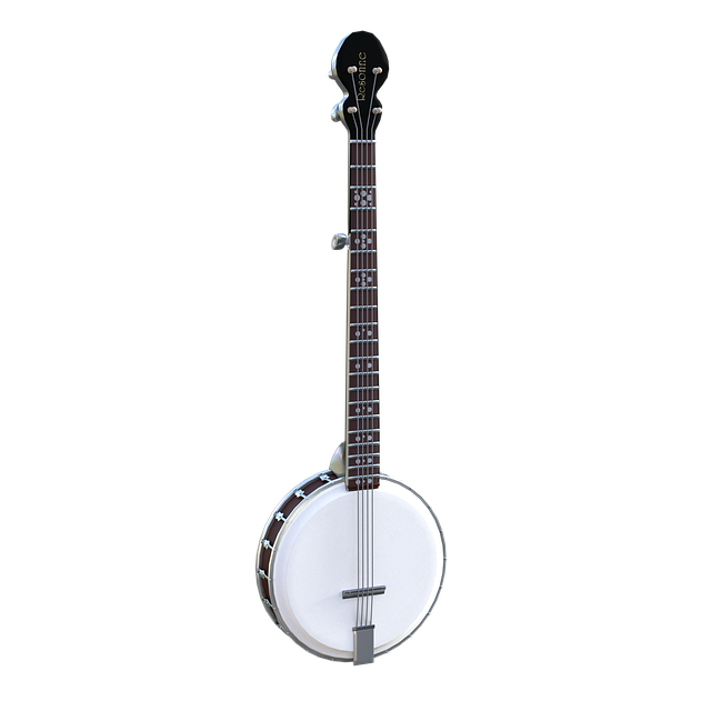 beginner Banjo